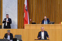 FPÖ-Mandatar Werner Herbert im Hohen Haus.