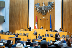 FPÖ-Parlamentarier Maximilian Linder im Nationalrat.