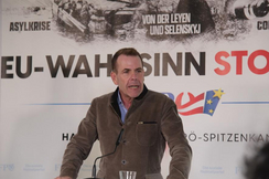 FPÖ-EU-Delegationsleiter Harald Vilimsky.