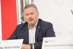 FPÖ-EU-Mandatar Roman Haider.