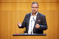 FPÖ-Generalsekretär Christian Hafenecker im Hohen Haus.