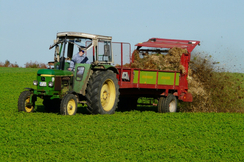 Die von der EU geplante Transformation ist eine massive Bedrohung für die Landwirtschaft in Europa.