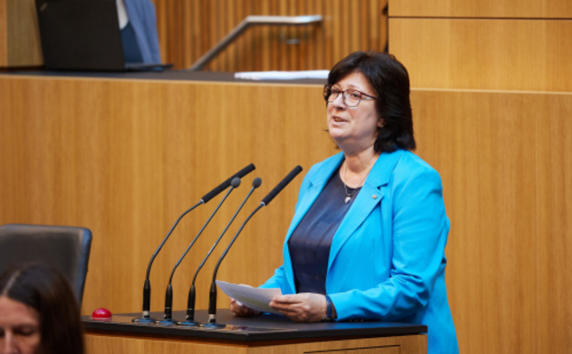 FPÖ-Familiensprecherin Rosa Ecker im Hohen Haus.