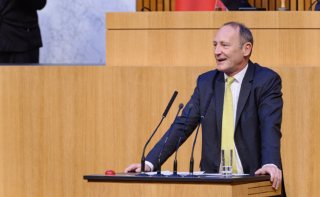 FPÖ-Wirtschaftssprecher Axel Kassegger im Hohen Haus.