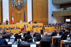 FPÖ-Finanzsprecher Hubert Fuchs im Parlament.