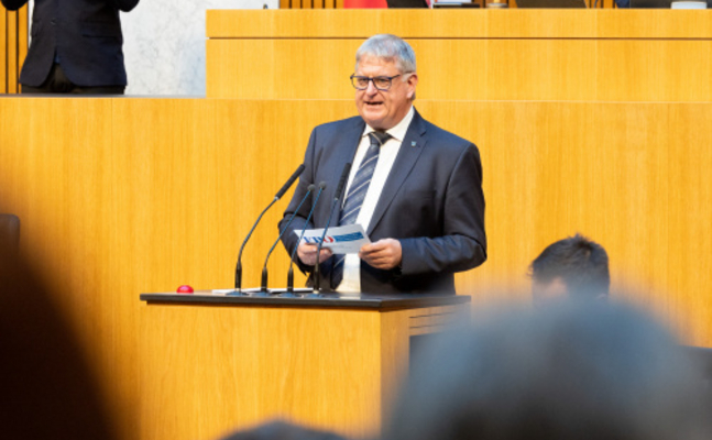 FPÖ-Freiwilligensprecher Maximilian Linder im Hohen Haus.